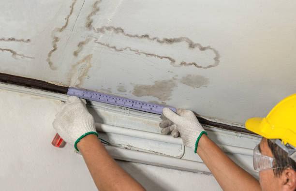 Reliable Basement Water Removal contractor in Bridgton, ME by Water Damage Irwin